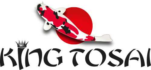 King Tosai