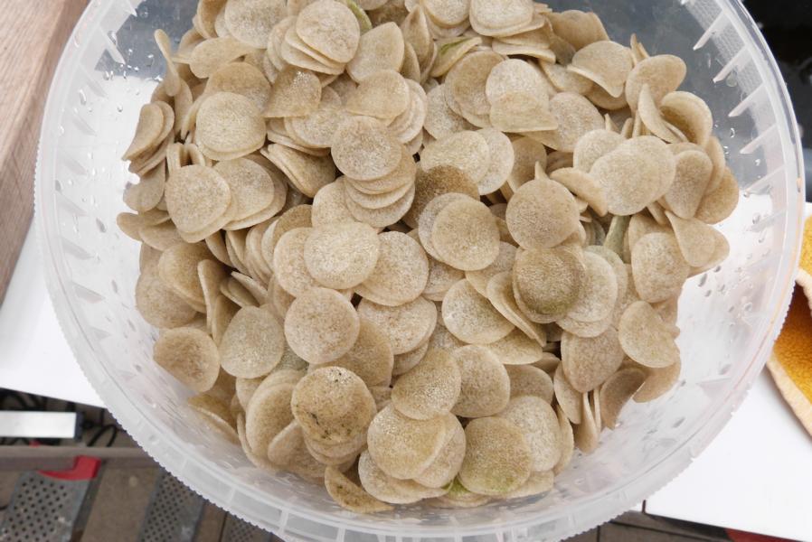 Hel-X Flake weiß – Bild 3